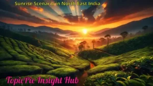 Sunrise Scenario in North East India