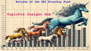 Returns of the SBI Bluechip Fund