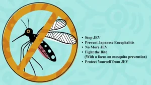 Japanese encephalitis virus (JEV)