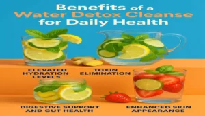 Benefits of a Water Detox Cleanse for Daily Health